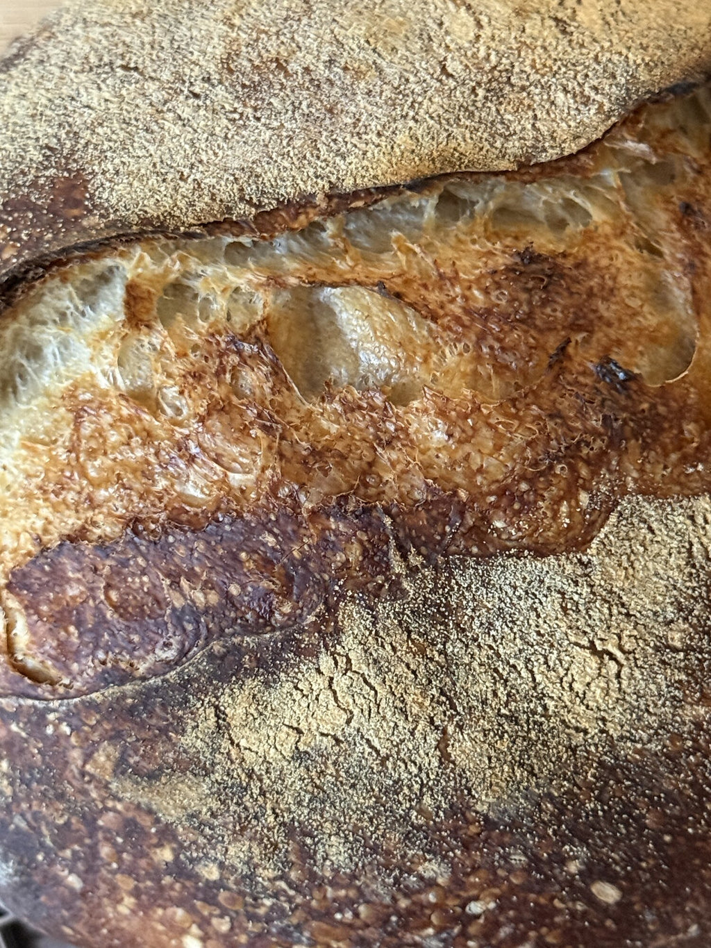 Sourdough Loaf