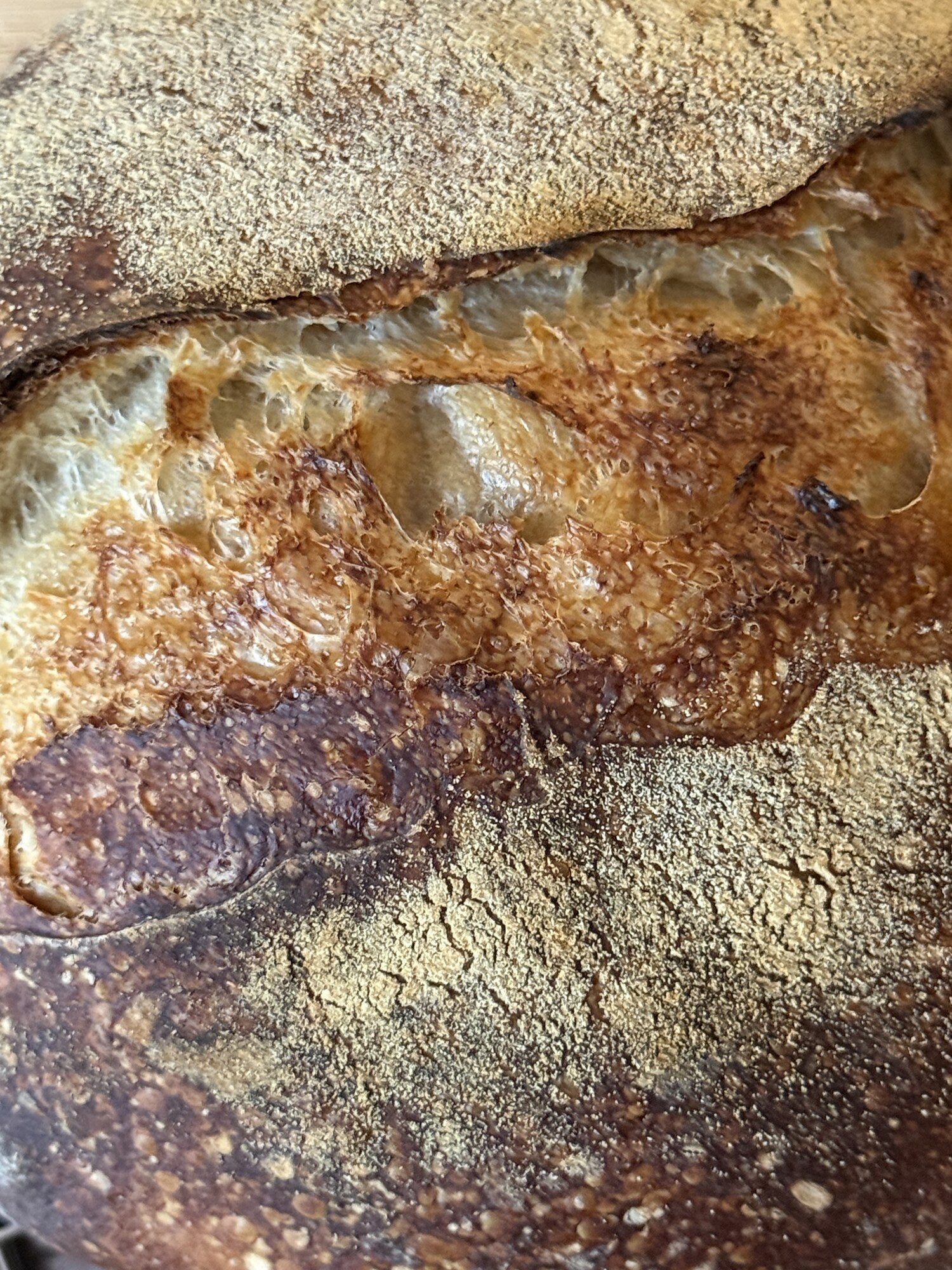 Sourdough Loaf